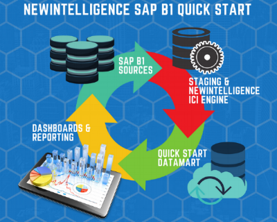 NewIntelligence SAP B1 QuickStart